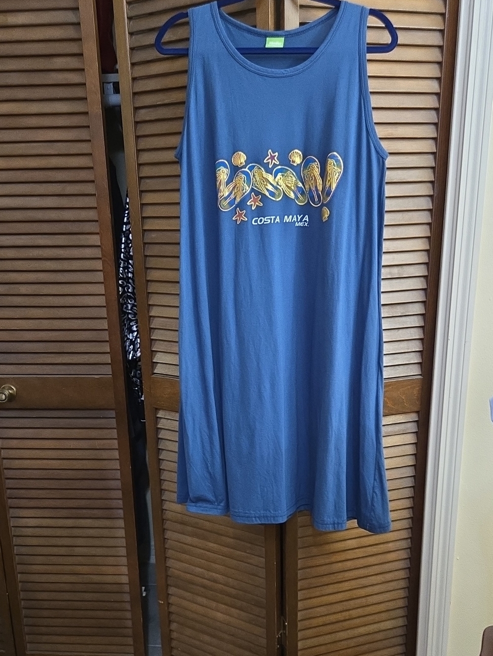 Blue Sleeveless Cotton Dress Like New